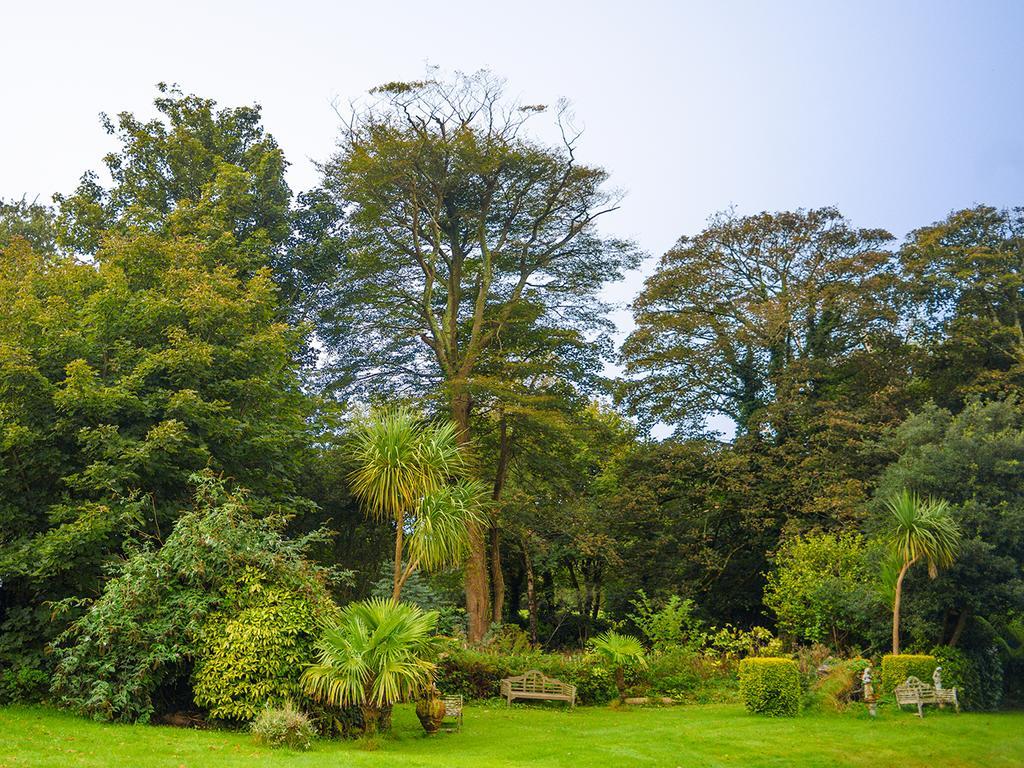 Penventon Park Hotel Redruth Dış mekan fotoğraf